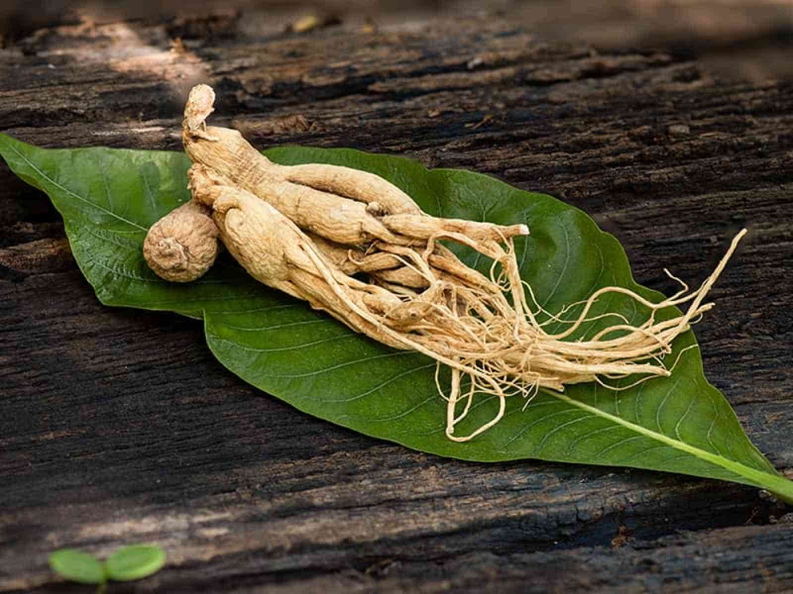Was ist Ginseng?